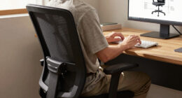 11 Best Office Chair for Lower Back Pain in 2026