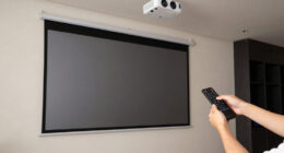 13 Best Best-Ambient-Light-Rejecting-Projector-Screens in 2026