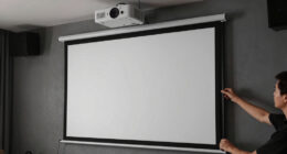 9 Best Fixed Frame Projector Screens in 2026