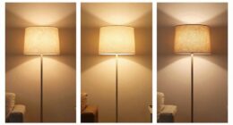 choosing the correct brightness