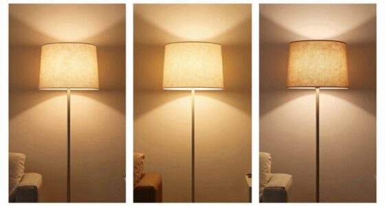 choosing the correct brightness