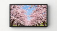 importance of color accuracy