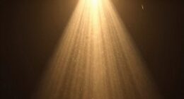 light beam distribution importance